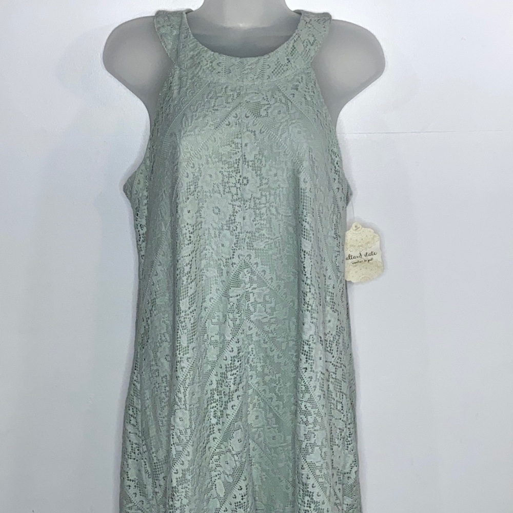 Altair’d State Lace Dress with Lining NWT
